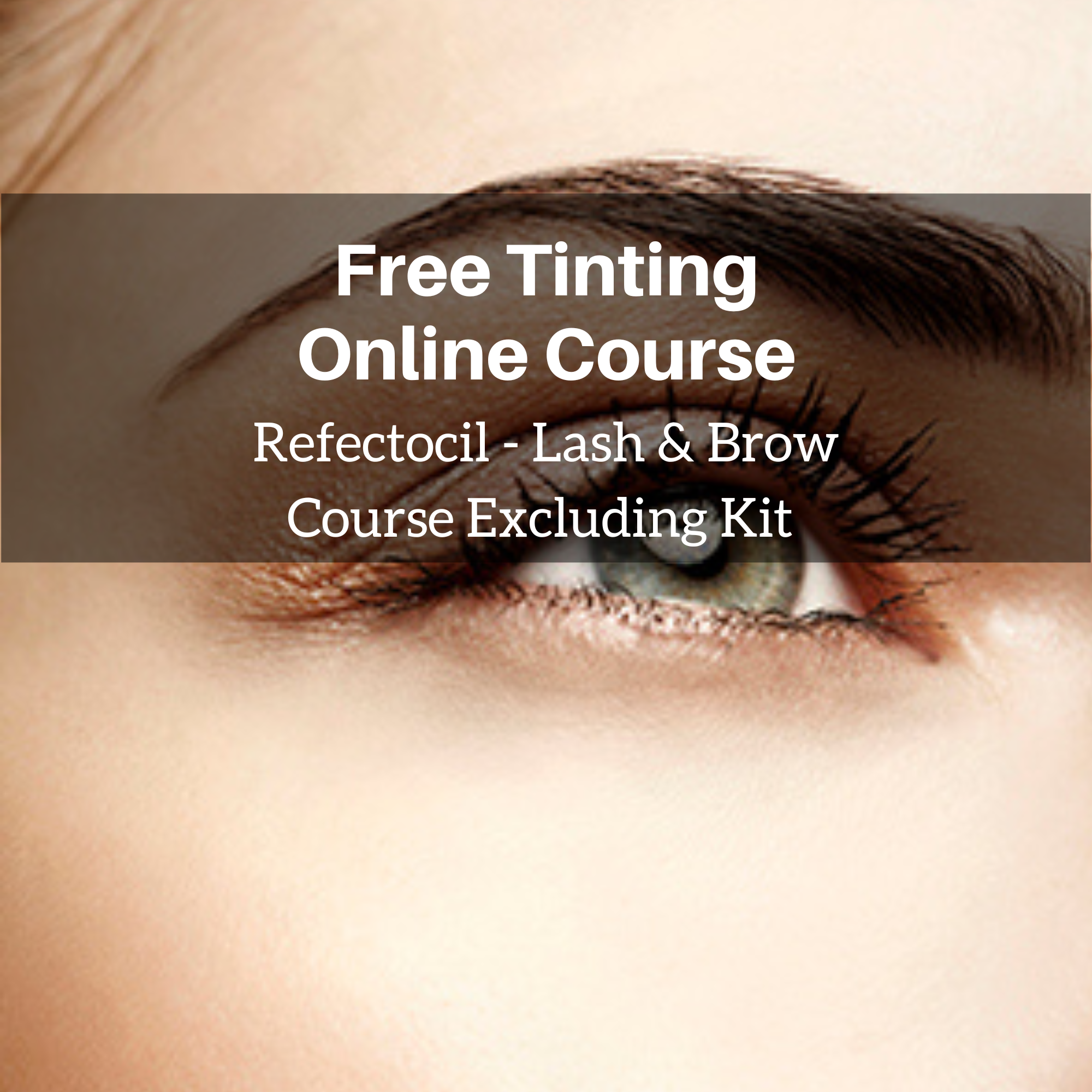 Tinting Course - Online Course
